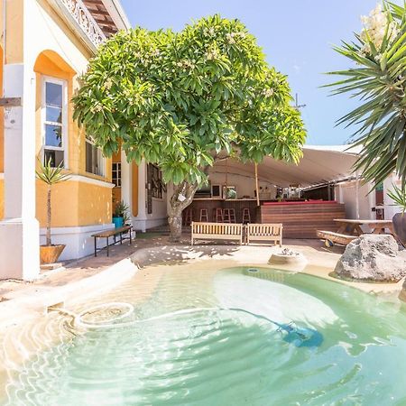 Green Elephant Backpackers Cape Town Bagian luar foto
