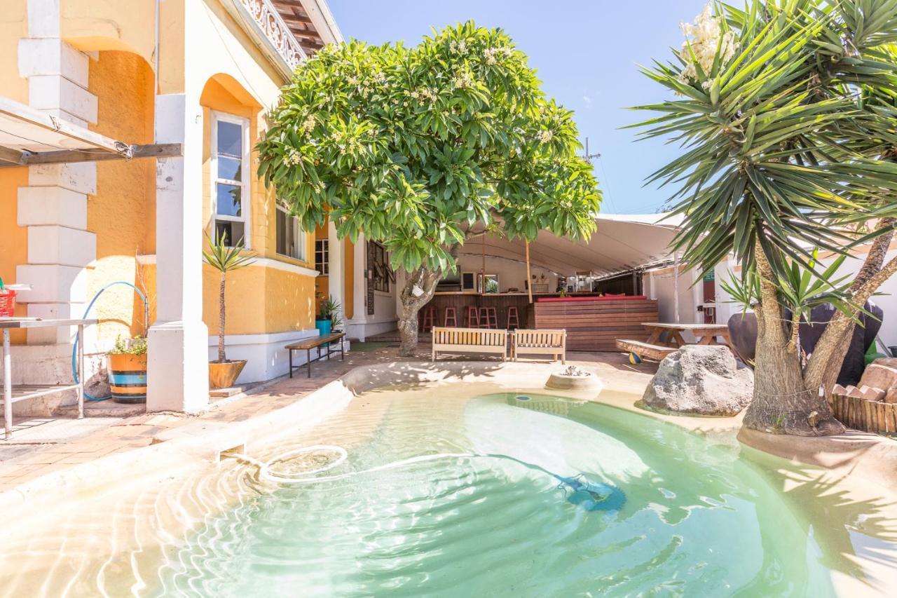 Green Elephant Backpackers Cape Town Bagian luar foto