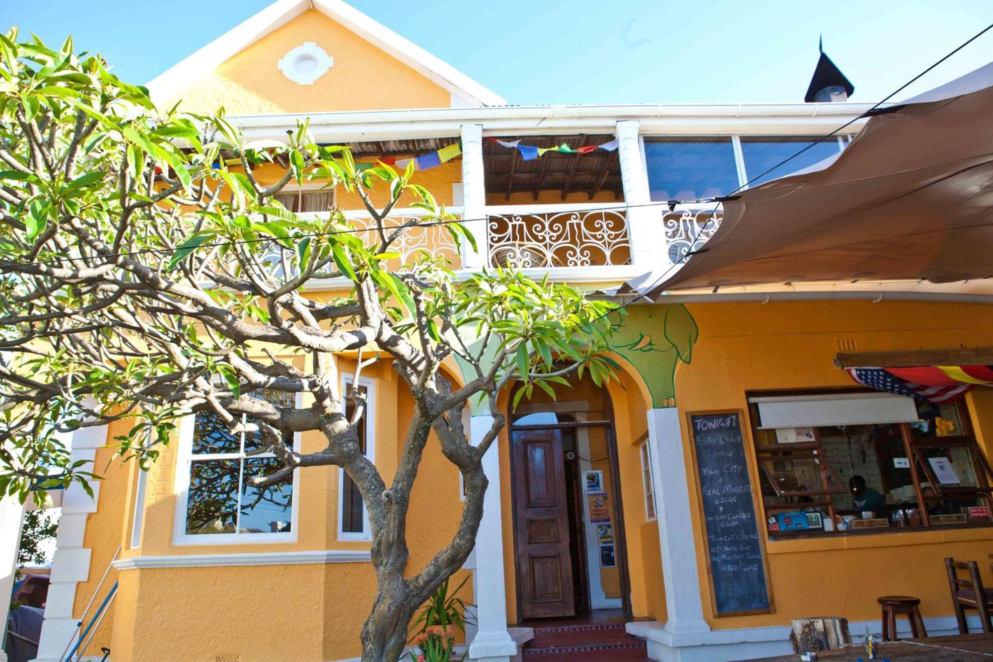 Green Elephant Backpackers Cape Town Bagian luar foto