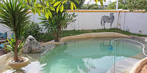 Green Elephant Backpackers Cape Town Bagian luar foto