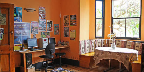 Green Elephant Backpackers Cape Town Bagian luar foto